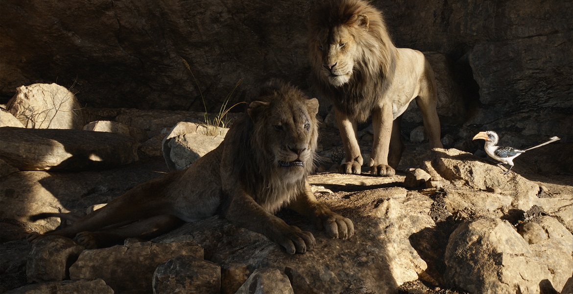 para el rey león