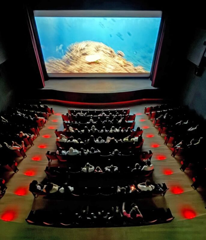 Cine Teatro Roma Alberti